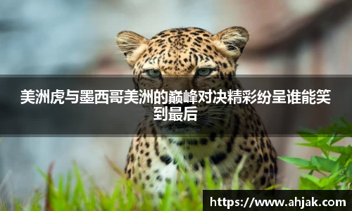MK体育：美洲虎与墨西哥美洲的巅峰对决精彩纷呈谁能笑到最后